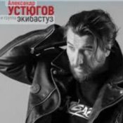 Обкладинка Александр Устюгов – Почтовые птицы