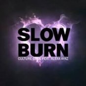 Обкладинка NEIMXX – Slow Burn