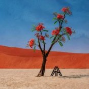 Обкладинка Axel Thesleff – Ashoka