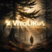 Обкладинка ViTaLiKuS – Ель рукавом мне тропинку завесила…