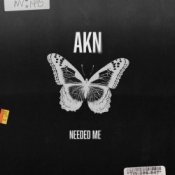 Обкладинка AKN – Needed Me