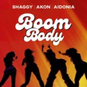 Обкладинка Shaggy & Akon & Aidonia – Boom Body