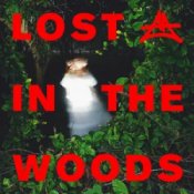 Обкладинка Elderbrook & Adriatique – Lost In The Woods