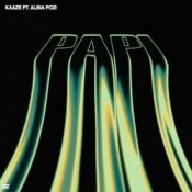 Обкладинка KAAZE feat. Alina Pozi – Papi