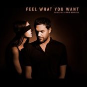 Обкладинка Phonique & Rebecca – Feel What You Want (Fairplay Remix)