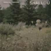 Обкладинка Shallou – Forget