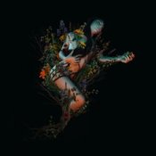 Обкладинка Roniit – Lidocaine