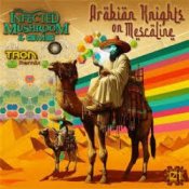 Обкладинка GMS & Infected Mushroom – Arabian Knights On Mescaline
