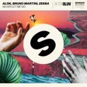 Обкладинка Alok, Bruno Martini, Zeeba – Never Let Me Go