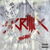 Обкладинка Skrillex – Go On