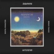 Слухати Аквариум – Серебро Господа моего