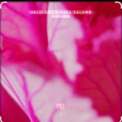 Helsloot & Mees Salome - Solace (Extended Mix)