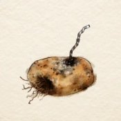 Обкладинка Sara Beth – Old Potatoes