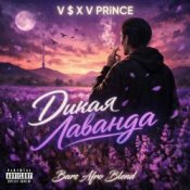 V $ X V PRiNCE x Happy Deny & Rodionov1977 - Дикая Лаванда (DJ Bars (Kz) Radio Edit)