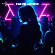 Обкладинка Slawd & Vallvete – dark horse (slowed + reverb)