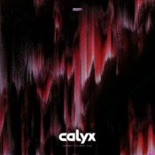 Обкладинка Calyx – A Day That Never Comes