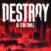 Обкладинка DJ Tewi CKИLL – Destroy