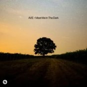 Обкладинка AVE – Meet Me In The Dark