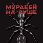 Обкладинка KRBK – Муравей на суше