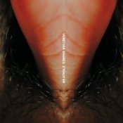 Обкладинка Venetian Snares – Duffy