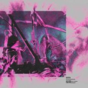 Обкладинка Monrroe – Echo Habit