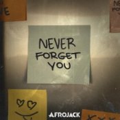 Обкладинка AFROJACK – Never Forget You