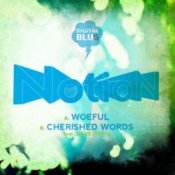 Обкладинка Notion – Woeful