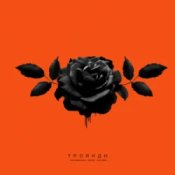 kavabanga Depo kolibri - Троянди