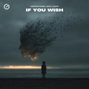 Обкладинка DeepSummer & Serj Lazar – If You Wish