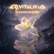 Обкладинка ViTaLiKuS – Выздоровление