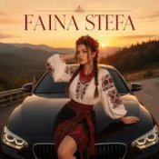 Обкладинка Faina Stefa – Крути мене у тачці!