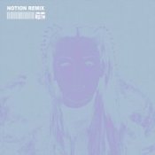 Обкладинка CHRYSTAL & NOTION – The Days (NOTION Remix)