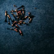 Обкладинка Doechii & SZA – girl, get up.