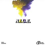 Слухати Kevin Schouten – N.I.C.E.