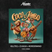 Обкладинка KILLTEQ & D.HASH & BORDERMIND – Coco Jambo