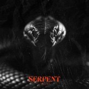 Обкладинка Sam Tinnesz & Tommee Profitt – Serpent