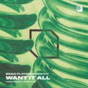 Обкладинка Bingo Players & Mohtiv – Want It All