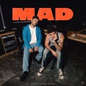 Обкладинка Martin Garrix & Lauv – MAD