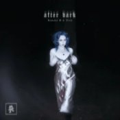 Обкладинка Rameses B & Veela – after dark