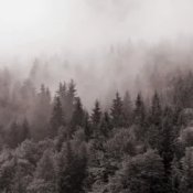 Обкладинка Y.K. Music – У Тумані