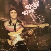 Обкладинка Ricky King – Strangers in the Night