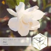 Слухати DJ Classbuse & SINKin – Zhizi (Orchestral Mix)