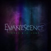 Обкладинка Evanescence – What You Want (Elder Jespon remix)