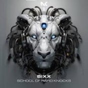 Обкладинка Bixx – Do The Right Thing