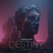 Обкладинка Alesso & SACHA – Destiny (HILLS Remix)