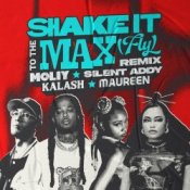 Обкладинка MOLIY & Silent Addy – Shake It To The Max (FLY) [Kalash & Maureen Remix]