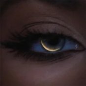 Обкладинка VERONIKA – Тимчасові