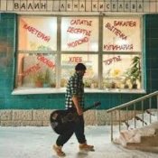 Обкладинка ВАЛИН – Лена Киселёва