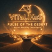 Обкладинка ViTaLiKuS – Pulse of the Desert (Mounir Bootleg Deep Remix)