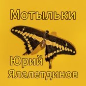 Обкладинка Юрий Ялалетдинов – Мотыльки